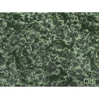 Delphin Rig Space C2G