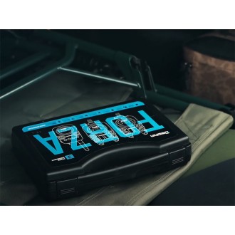 Delphin Forza Sygnalista UNI