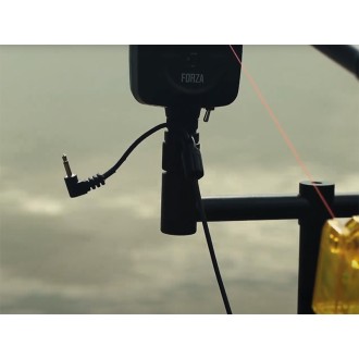 Delphin Forza Sygnalista UNI