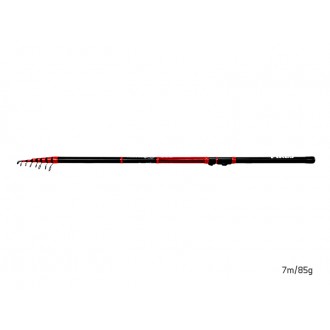 Delphin Telepikes 8,0m 85g