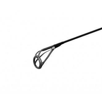 Pętla końcowa Delphin