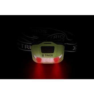 Czołówka Delphin Trios