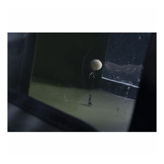 Kbelík RidgeMonkey Collapsible Bucket