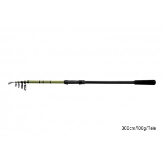 Delphin Partisan Tele 3,30m